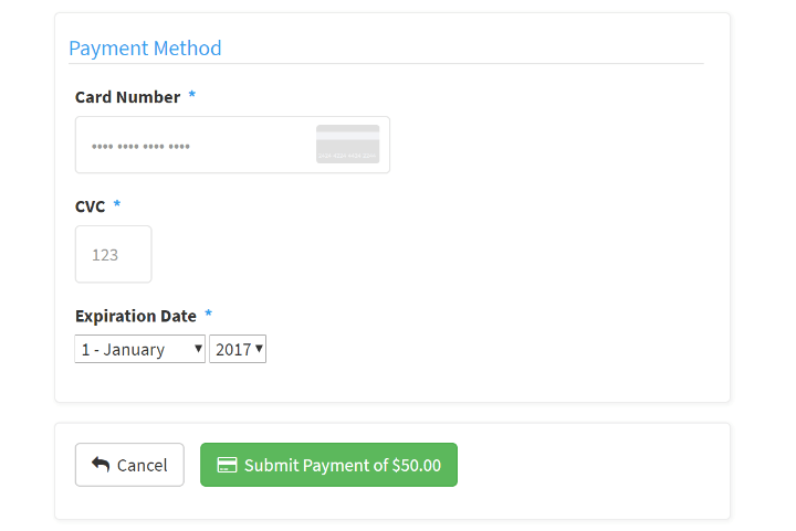 Credit Debit Card Payment.png